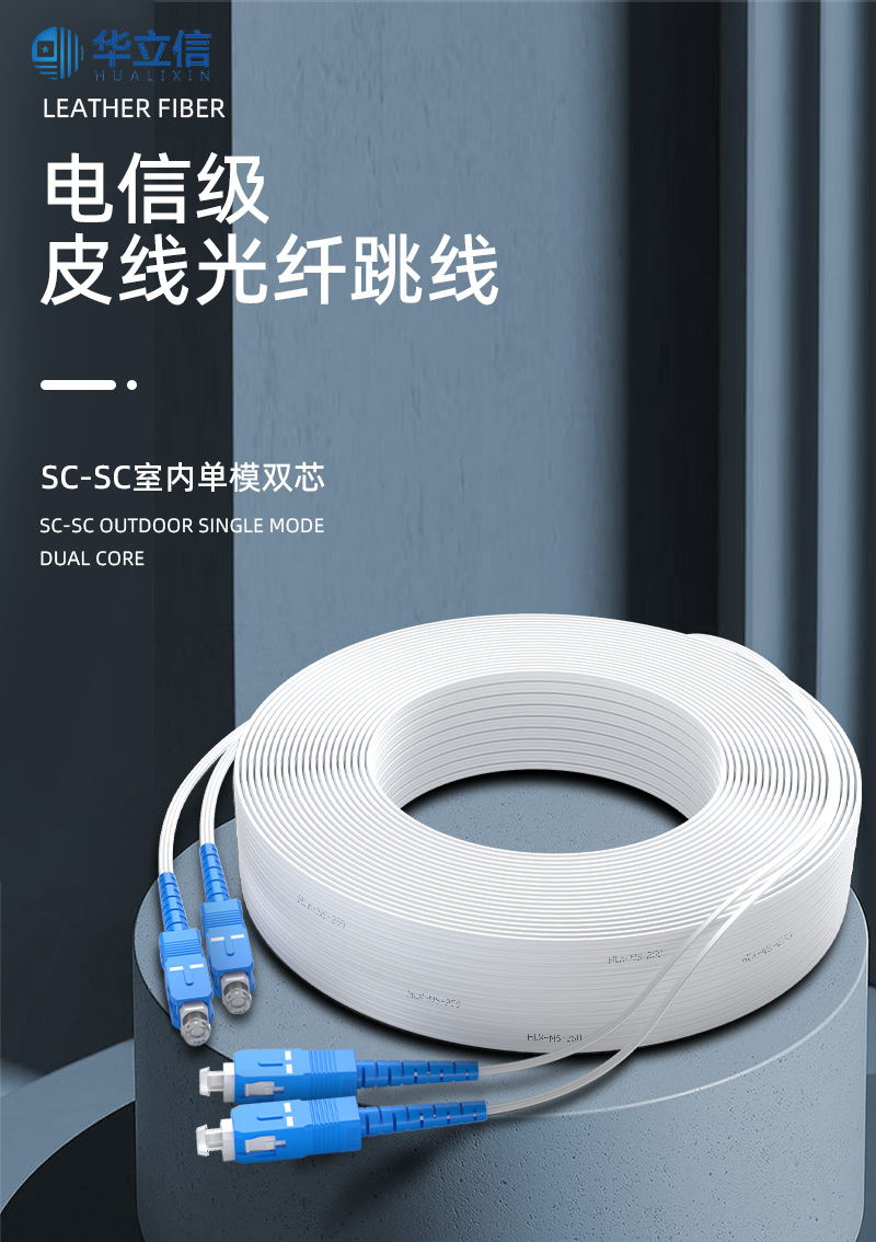 SC室内皮线_01.jpg